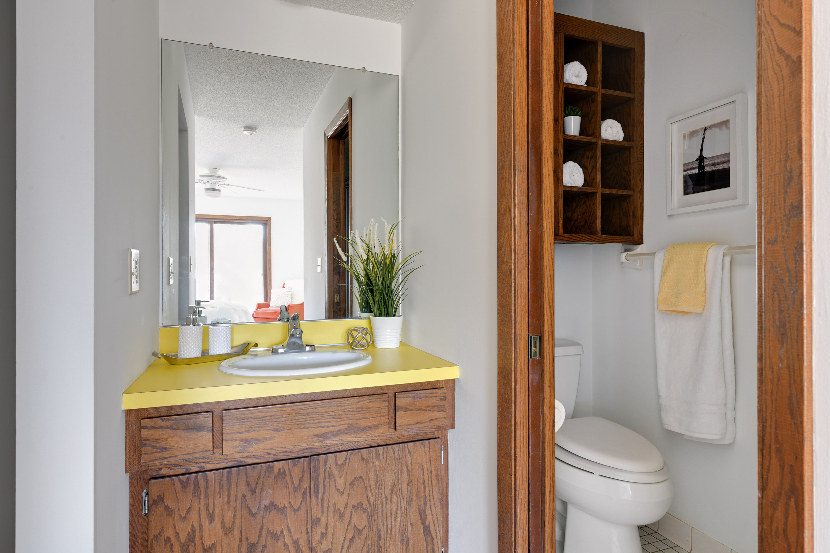 Separate Vanity and Shower!