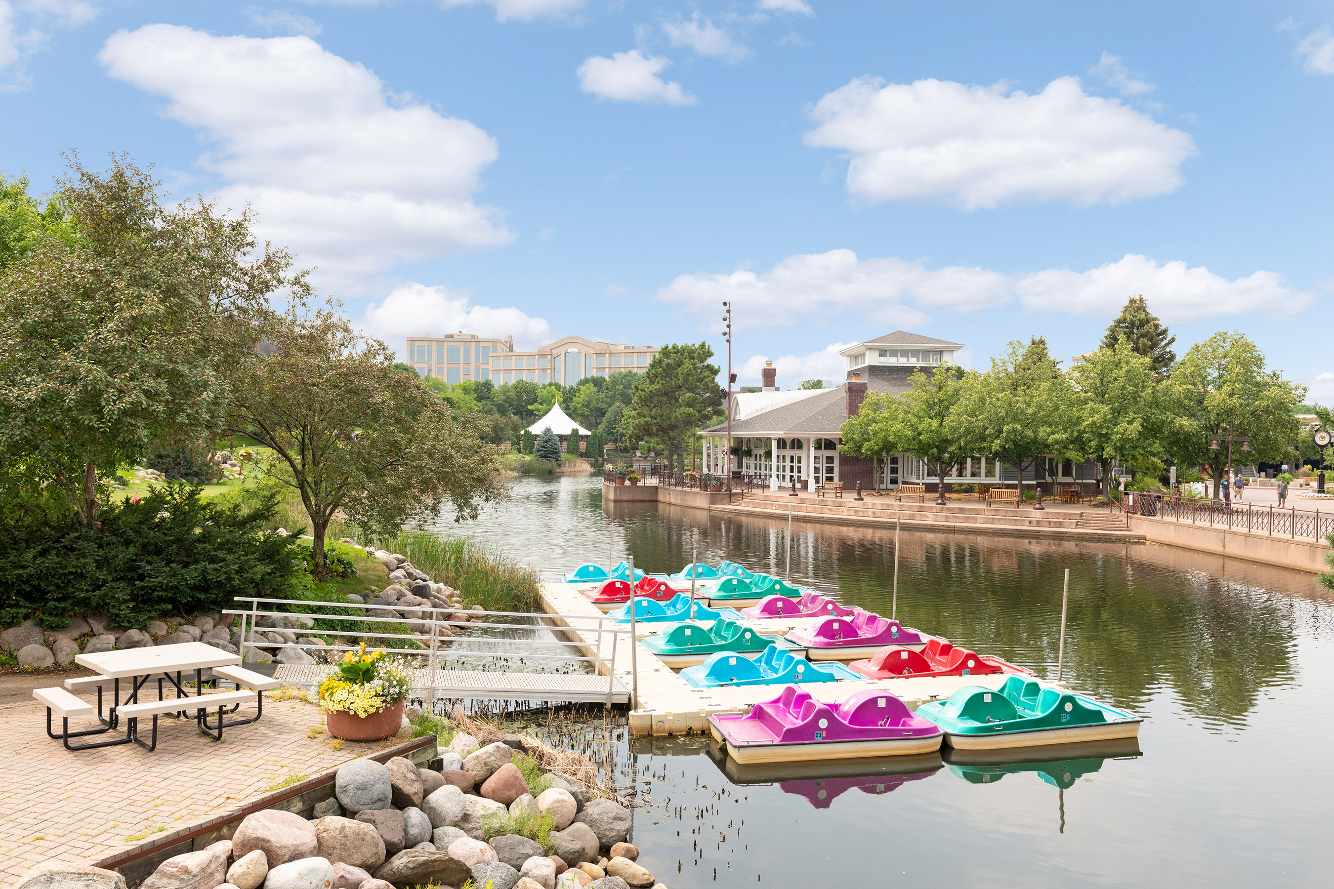 Paddleboat Rental