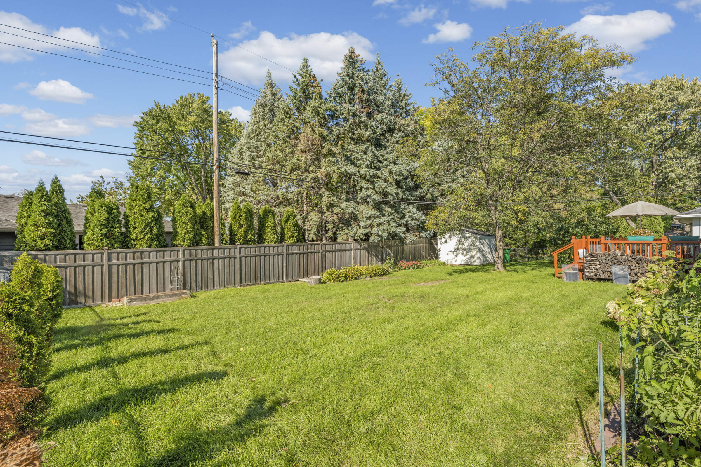 Large flat fenced backyard